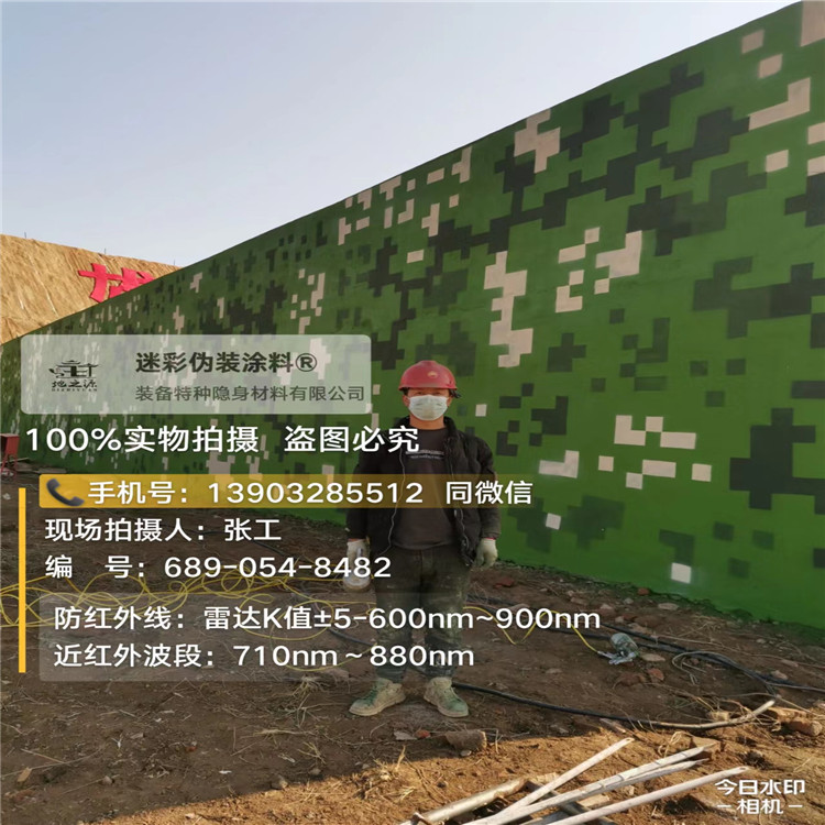 惠州外墙迷彩漆施工注意事项（通用 + 数码专属）